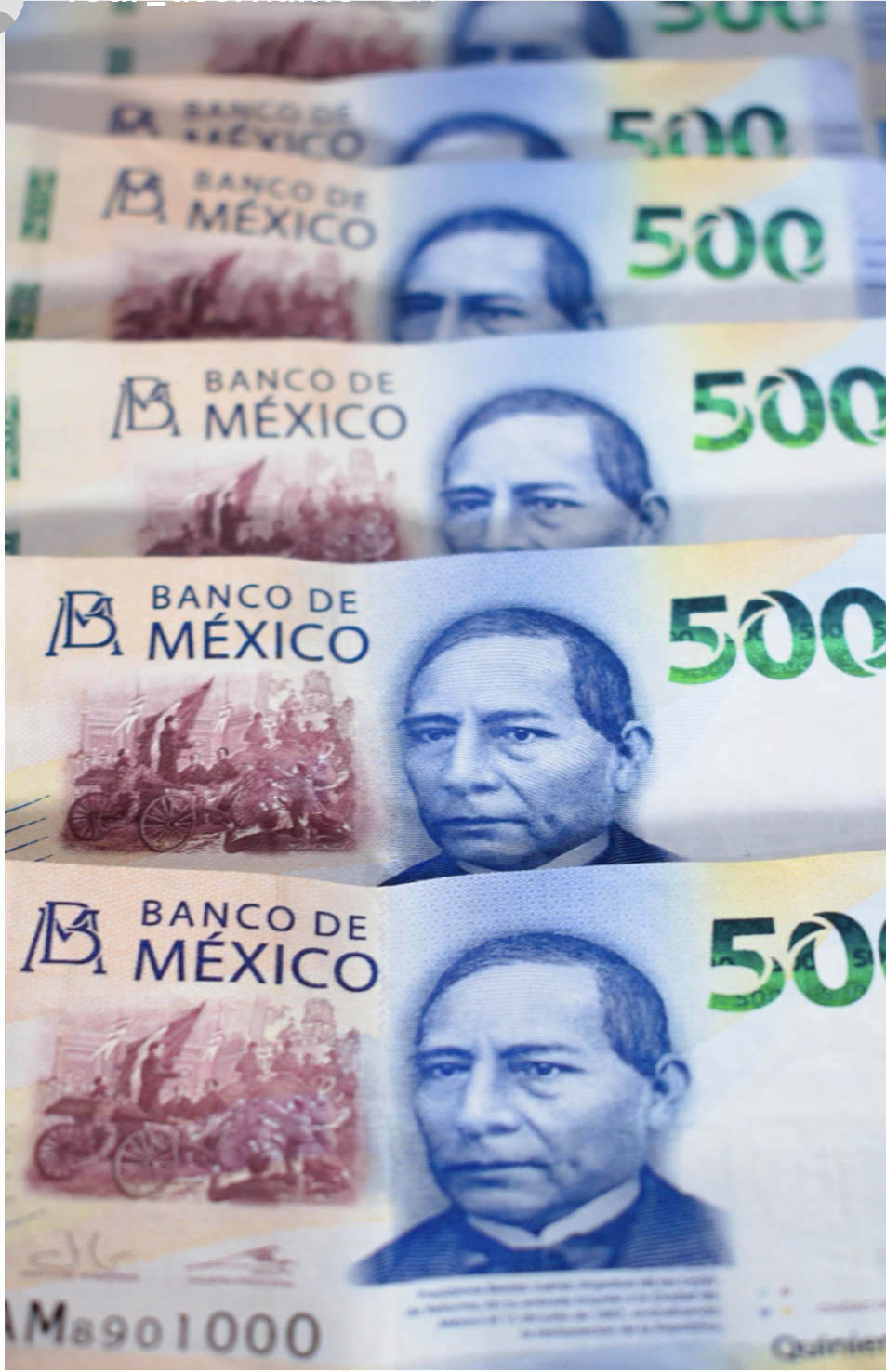 5 plazos que no puedes perder en 2026